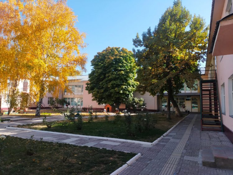 Стандарт государственной услуги "Прием документов и зачисление детей в дошкольные организации образования"
