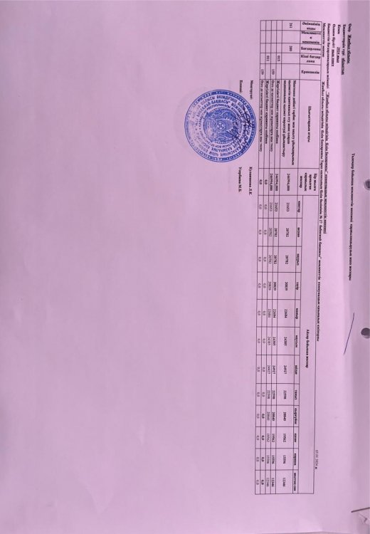 Дет план 2024 ж