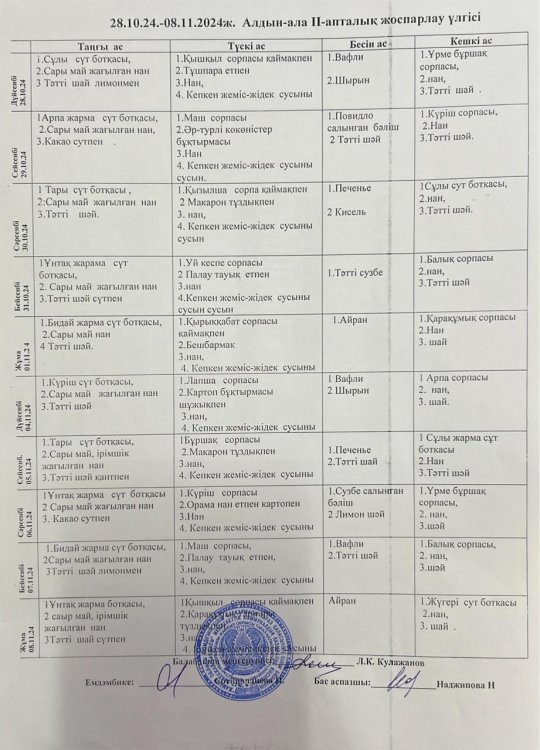 Алдын ала 2 апталық жоспарлау үлгісі 28.10.-08.11.24