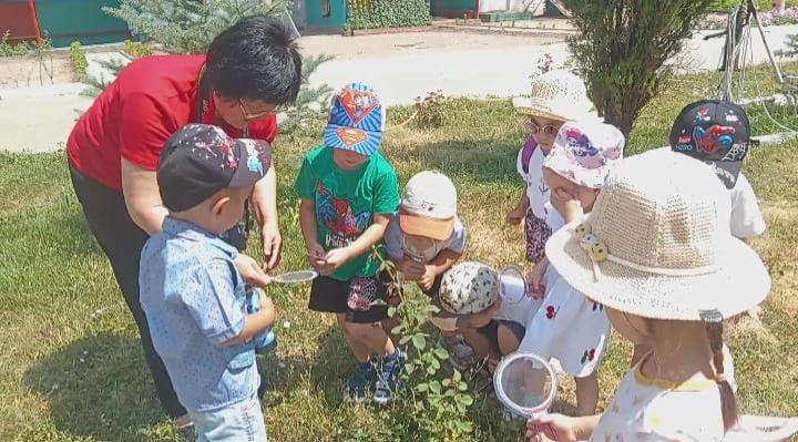 "Жазда мектеп жасына дейінгі балалардың экологиялық білімі"